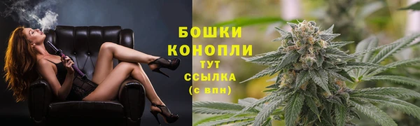 бошки Елабуга
