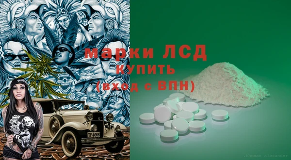 бошки Елабуга