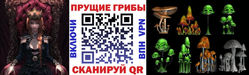кракен зеркало  Опочка  Галлюциногенные грибы мухоморы 